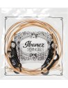 IBANEZ IACSP6C 12-53 PHOSPHOR BRONZE COATED