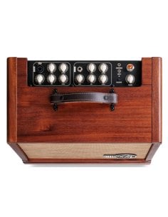 TAYLOR CIRCA 74 AMP 2