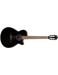 IBANEZ AEG50N-BKH