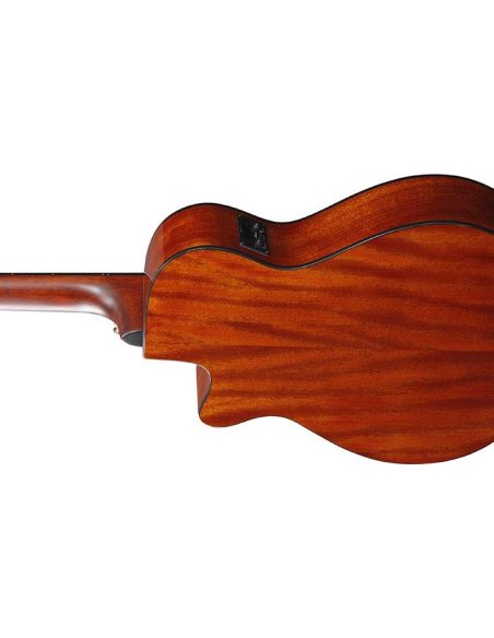 IBANEZ AEG50N-BKH