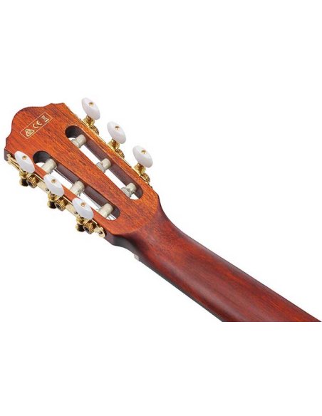 IBANEZ AEG50N-BKH