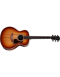 TAYLOR GOLD LABEL 814e-SB