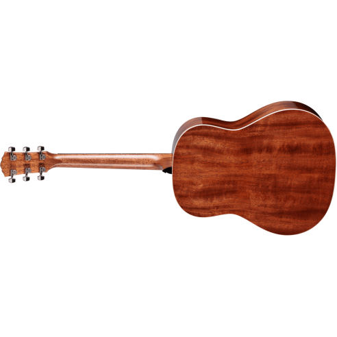 TAYLOR GOLD LABEL 517e