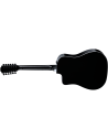 TAYLOR 250ce-BLACK PLUS