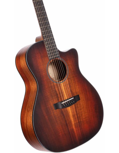 CORT CORE-GA ABW w/CASE