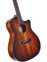 CORT CORE-GA ABW w/CASE