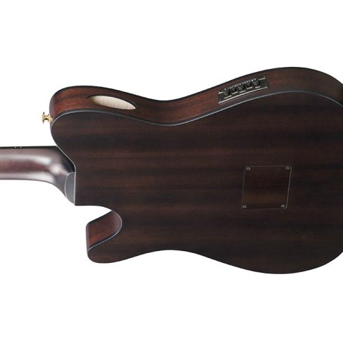 IBANEZ FRH20FMN-DGL