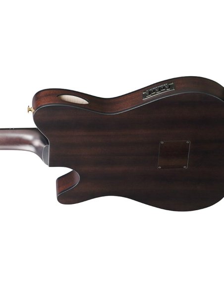 IBANEZ FRH20FMN-DGL