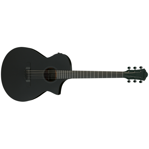 IBANEZ AEWC621-BOT