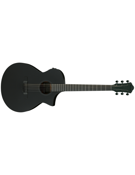 IBANEZ AEWC621-BOT
