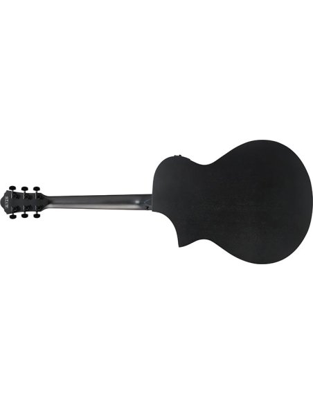 IBANEZ AEWC621-BOT
