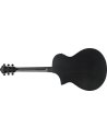 IBANEZ AEWC621-BOT