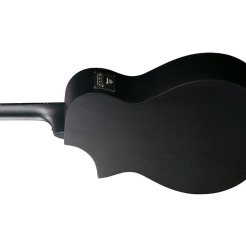 IBANEZ AEWC621-BOT