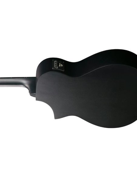 IBANEZ AEWC621-BOT