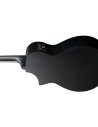 IBANEZ AEWC621-BOT