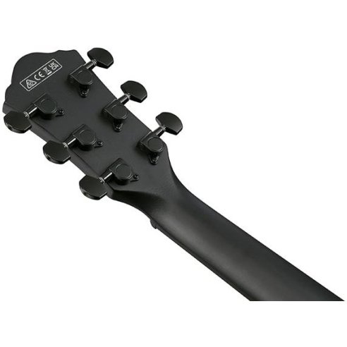 IBANEZ AEWC621-BOT