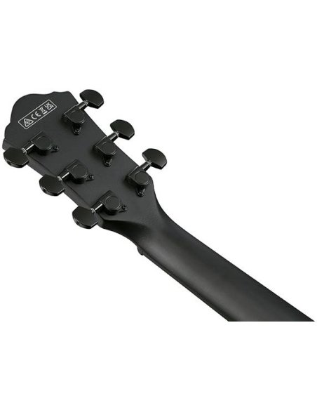 IBANEZ AEWC621-BOT