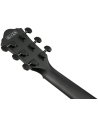 IBANEZ AEWC621-BOT