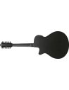 IBANEZ AEG1221-BOT