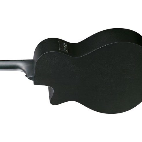 IBANEZ AEG1221-BOT