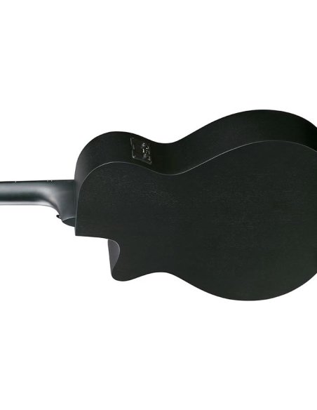 IBANEZ AEG1221-BOT