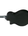 IBANEZ AEG1221-BOT