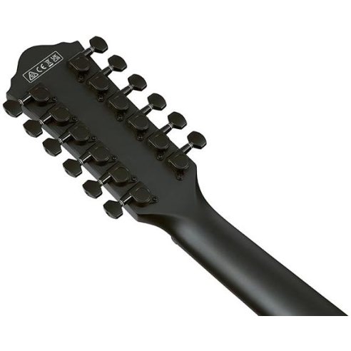 IBANEZ AEG1221-BOT