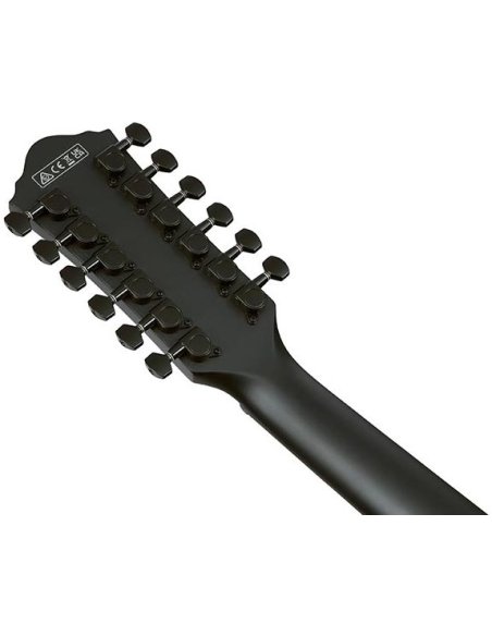 IBANEZ AEG1221-BOT