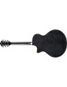 IBANEZ AE170-TBK