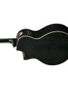 IBANEZ AE170-TBK