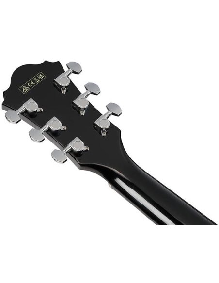 IBANEZ AE170-TBK
