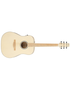 IBANEZ AAD77M1E-OAW
