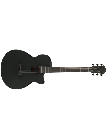 IBANEZ AEG621-BOT