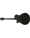 IBANEZ AEG621-BOT