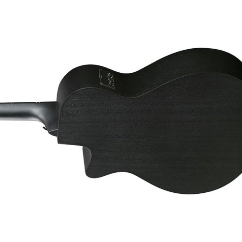 IBANEZ AEG621-BOT