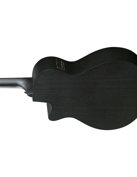 IBANEZ AEG621-BOT