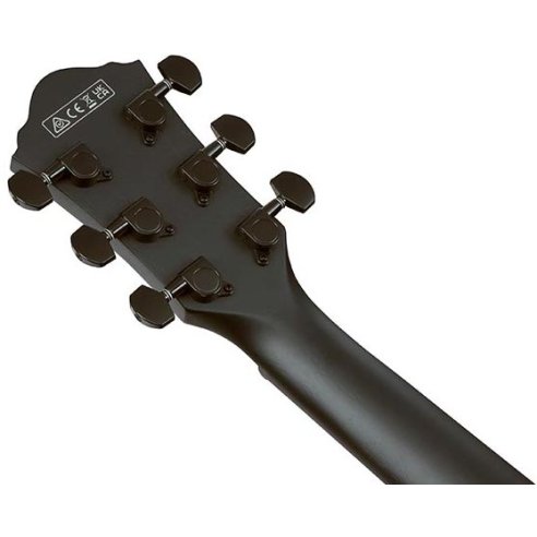 IBANEZ AEG621-BOT