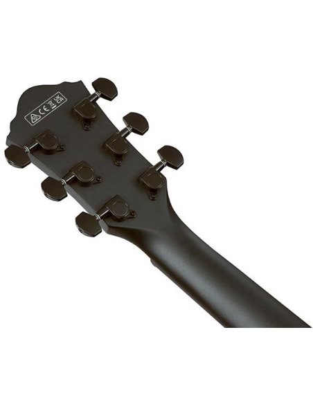 IBANEZ AEG621-BOT