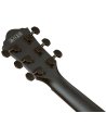 IBANEZ AEG621-BOT
