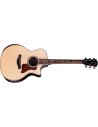 TAYLOR 814CE NEXT GENERATION