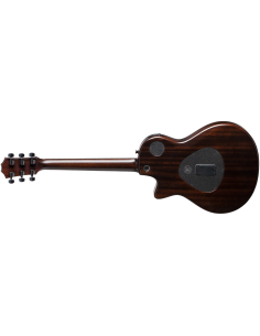 TAYLOR T5Z CLASSIC ROSEWOOD TOP 2