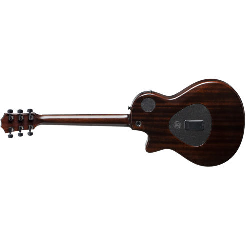 TAYLOR T5Z CLASSIC ROSEWOOD TOP