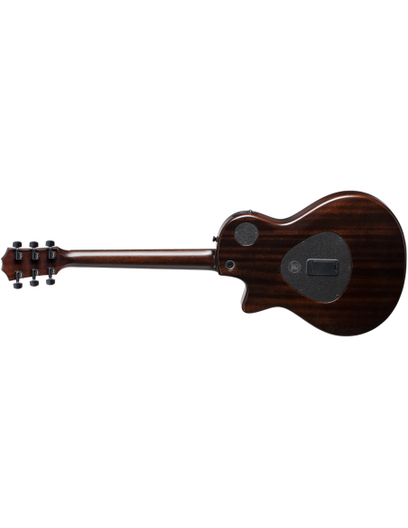 TAYLOR T5Z CLASSIC ROSEWOOD TOP