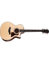 TAYLOR 314CE NEXT GENERATION