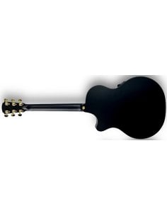COLE CLARK TL2EC-BLBL-HSS-BLK 2