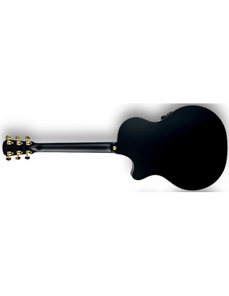 COLE CLARK TL2EC-BLBL-HSS-BLK