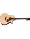 TAYLOR 414CE NEXT GENERATION