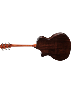 TAYLOR 414CE NEXT GENERATION 2