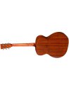 EASTMAN E1OM