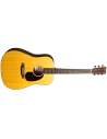 MARTIN D-10E RETRO SPRUCE / SAPELE
